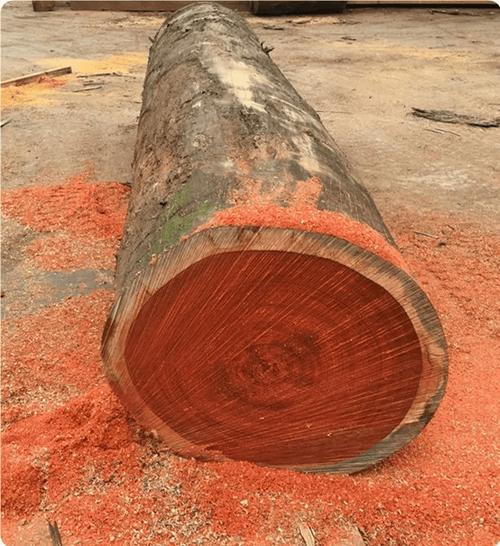 硬木课堂怎么样