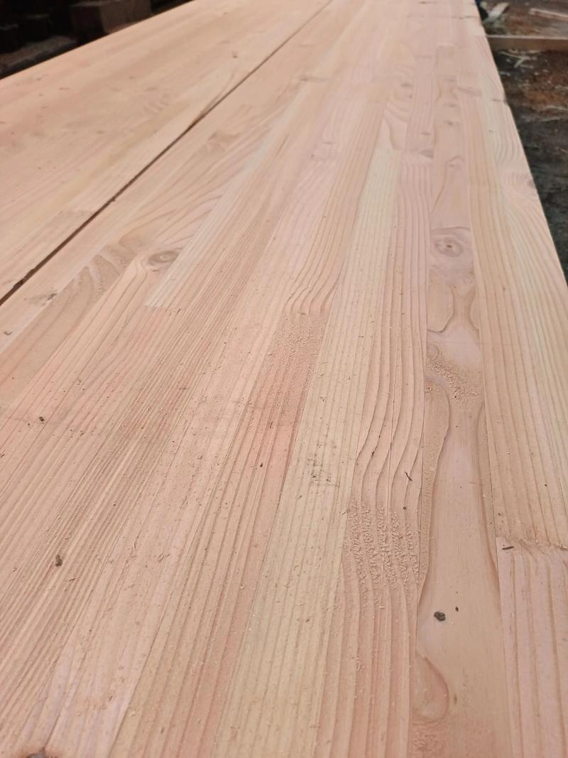 落叶松和樟子松有什么区别