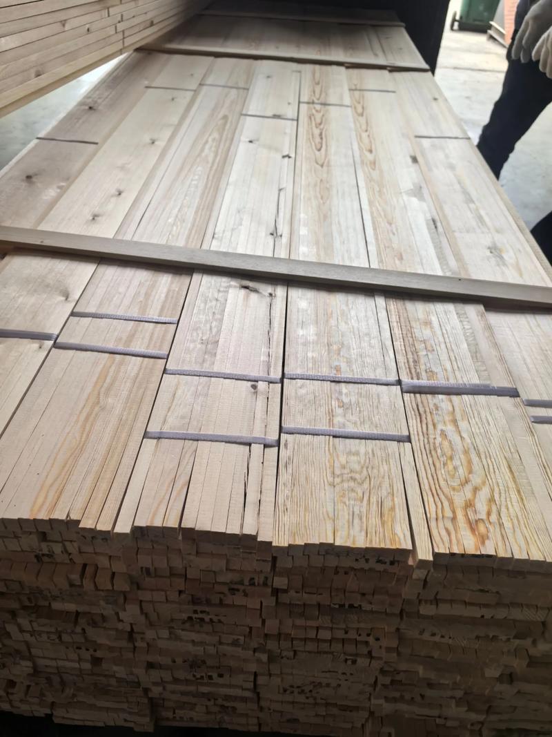 落叶松和樟子松有什么区别 落叶松和樟子松有什么区别